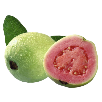 Guava - Goiaba